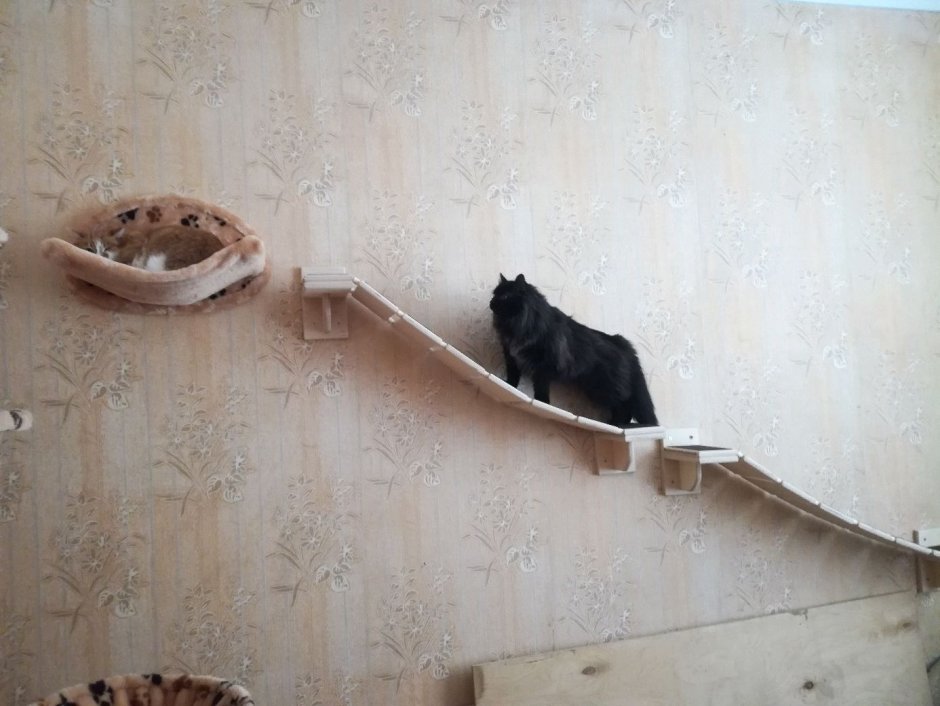 Подвесная лежанка для кота