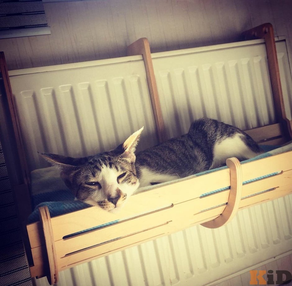Кошачья лежанка на батарею