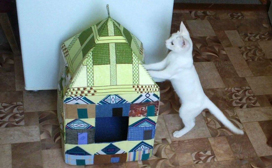 Кошкин дом из картона