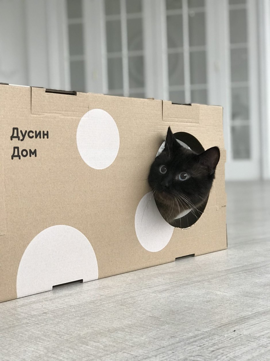 Кошка из картона