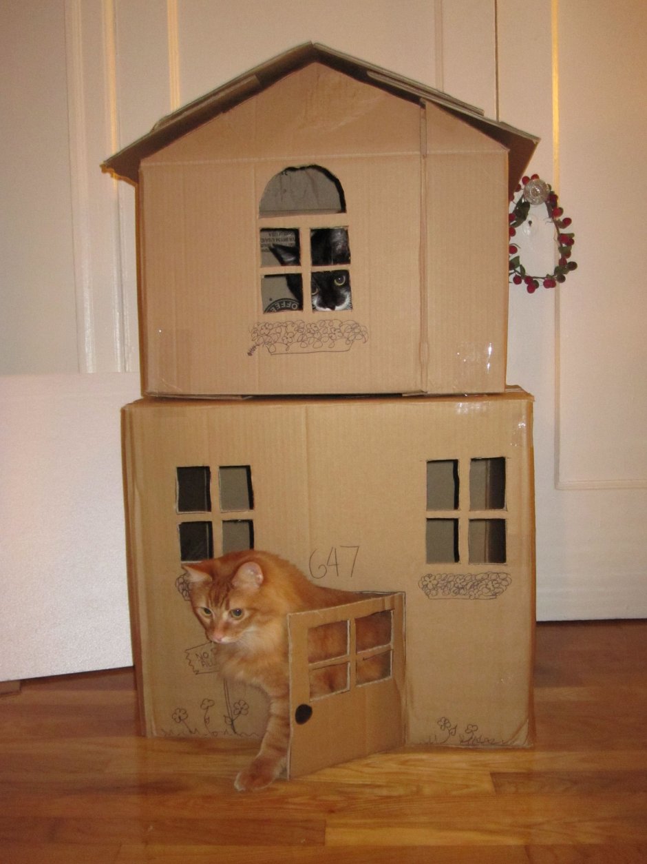 Двухэтажный дом для кошек из коробок