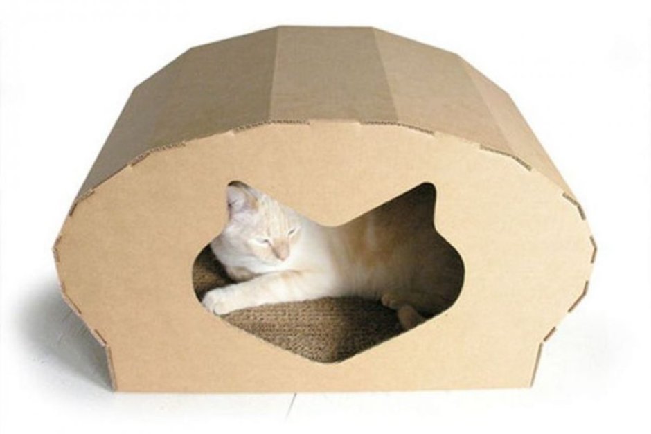 Бумажная лежанка для кошки
