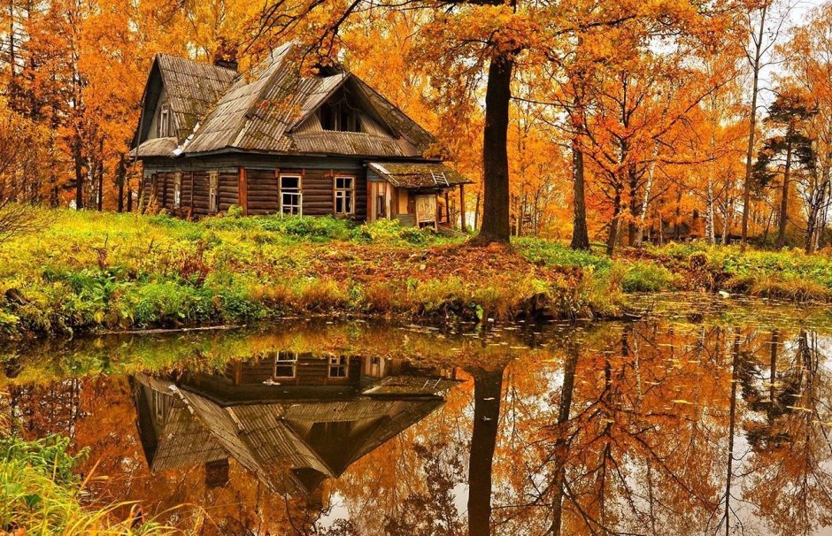 Осень в деревне