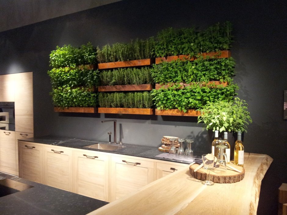 Зелень на кухне на стене