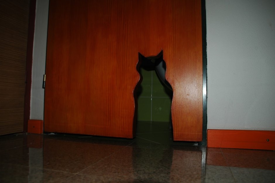 Дверь для кошки в двери туалета