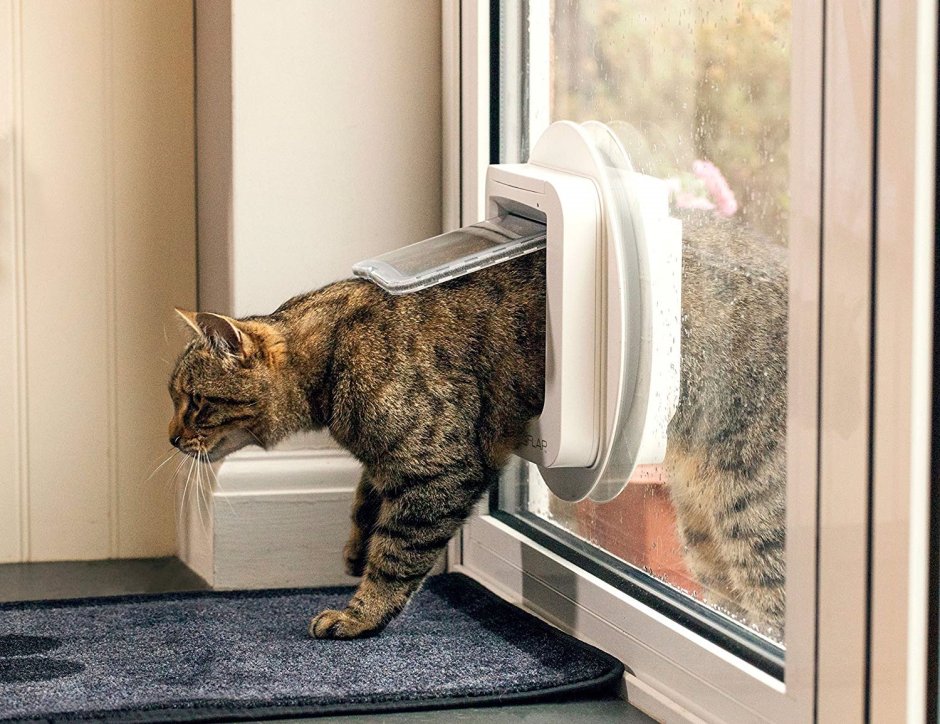 Дверца для кошек в стеклопакете