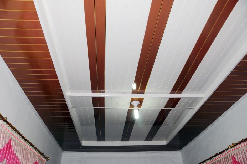 Потолочный пластик