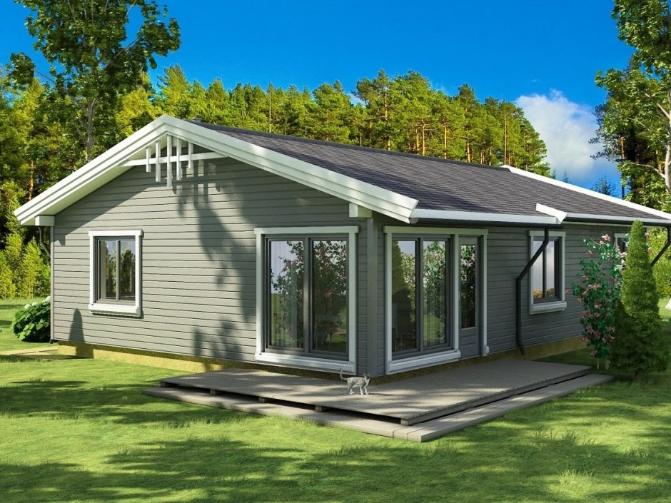 Одноэтажный дом Тини Хаус