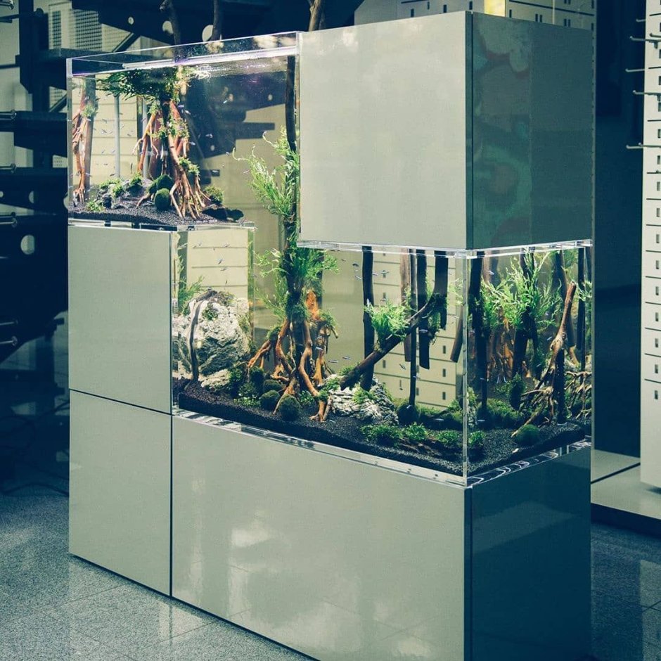 Amazing Aquarium Tetris