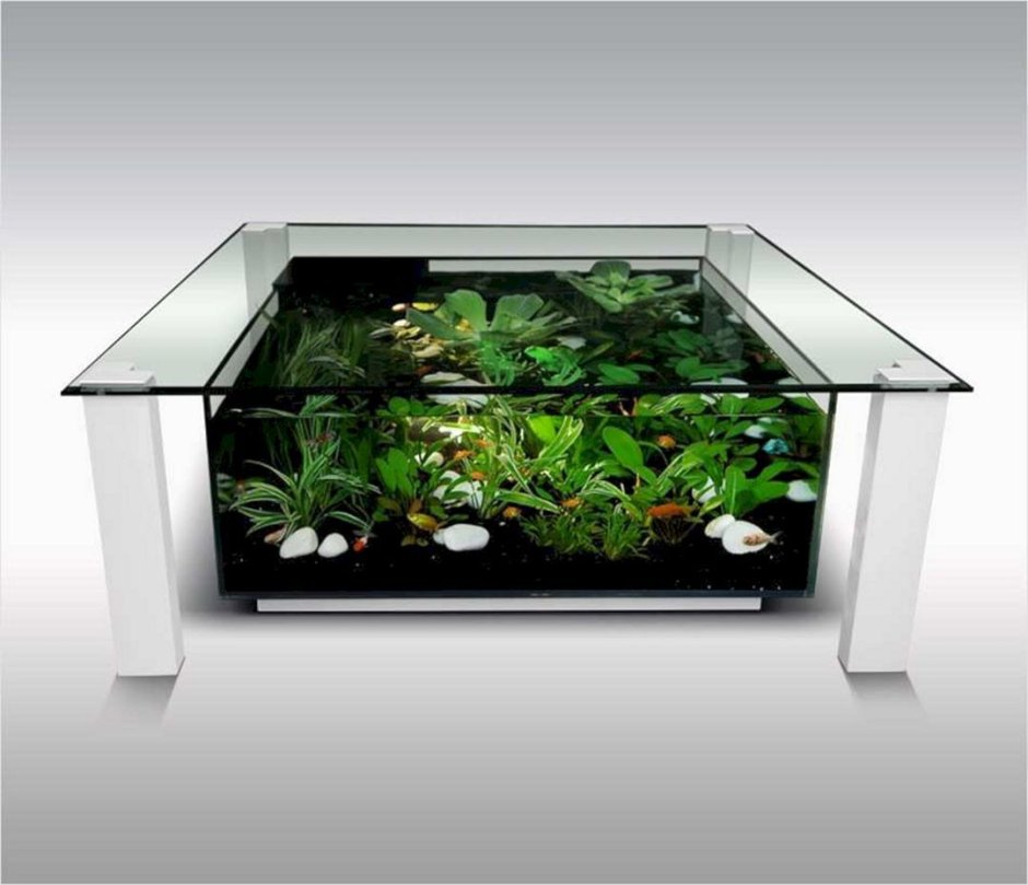 Saltwater Fish Table