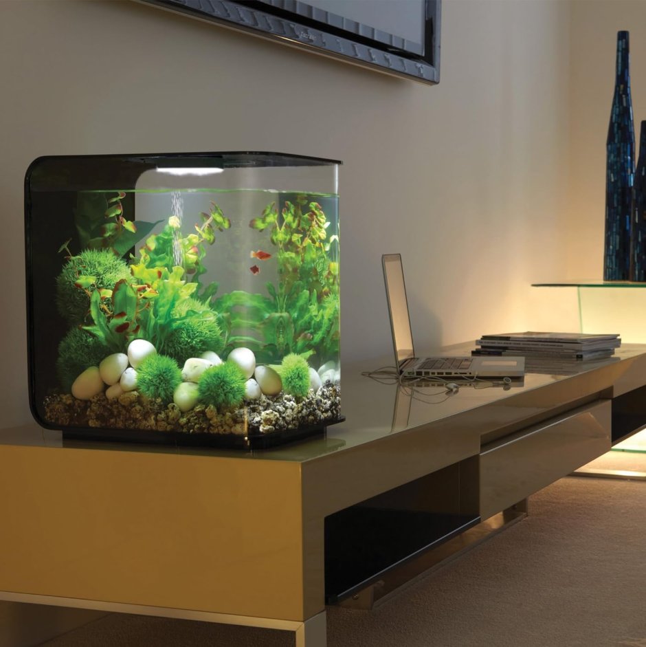 Аквариум BIORB Flow 15 led
