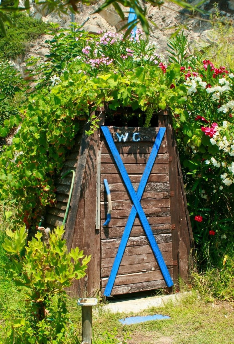 Оригинальный туалет на даче