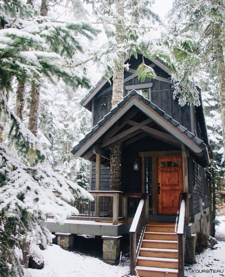 Деревянный домик в зимнем лесу