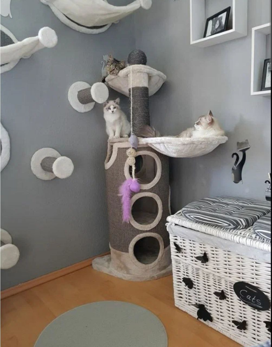 Кошачий домик в интерьере