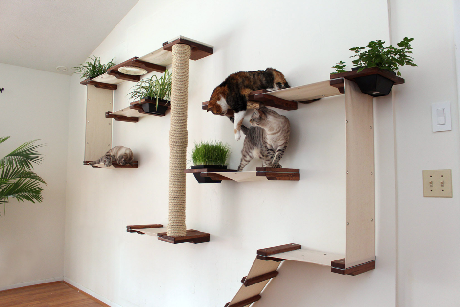 Домики лазелки для кошек