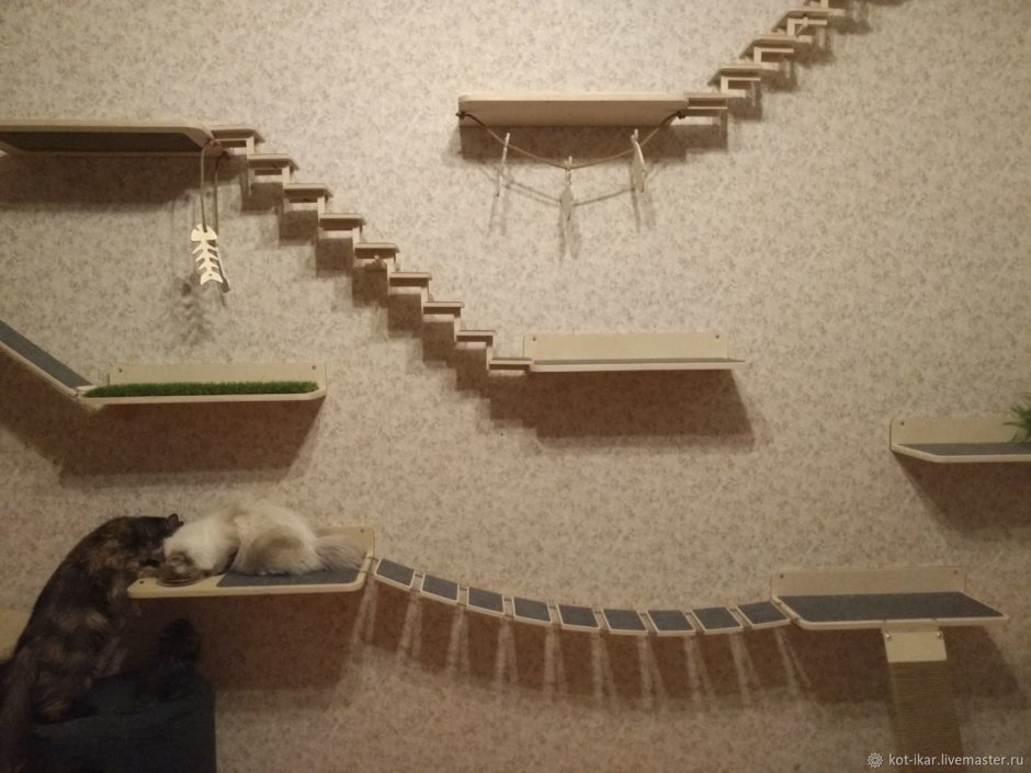 Настенный игровой комплекс для котов