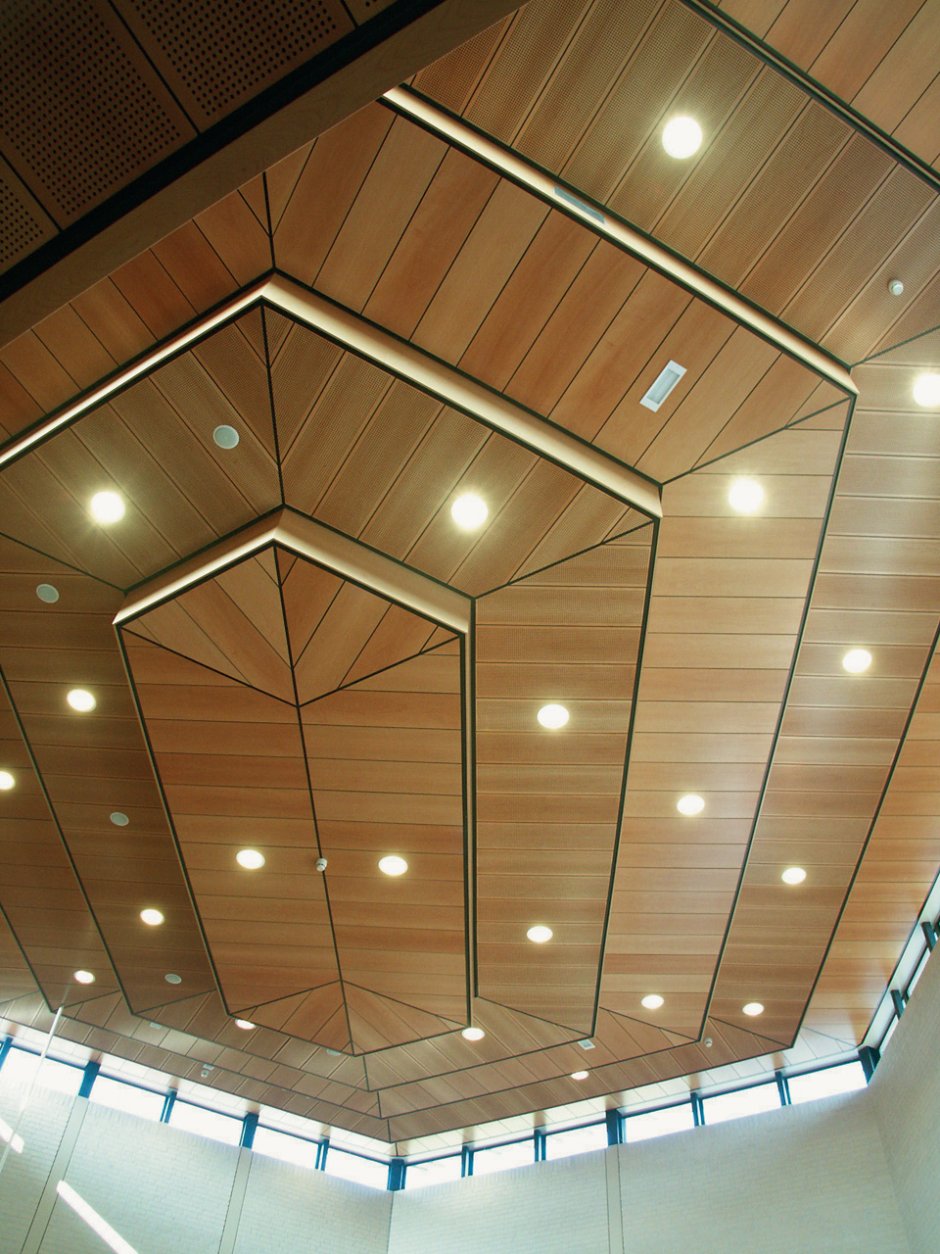 Потолок из декор панели