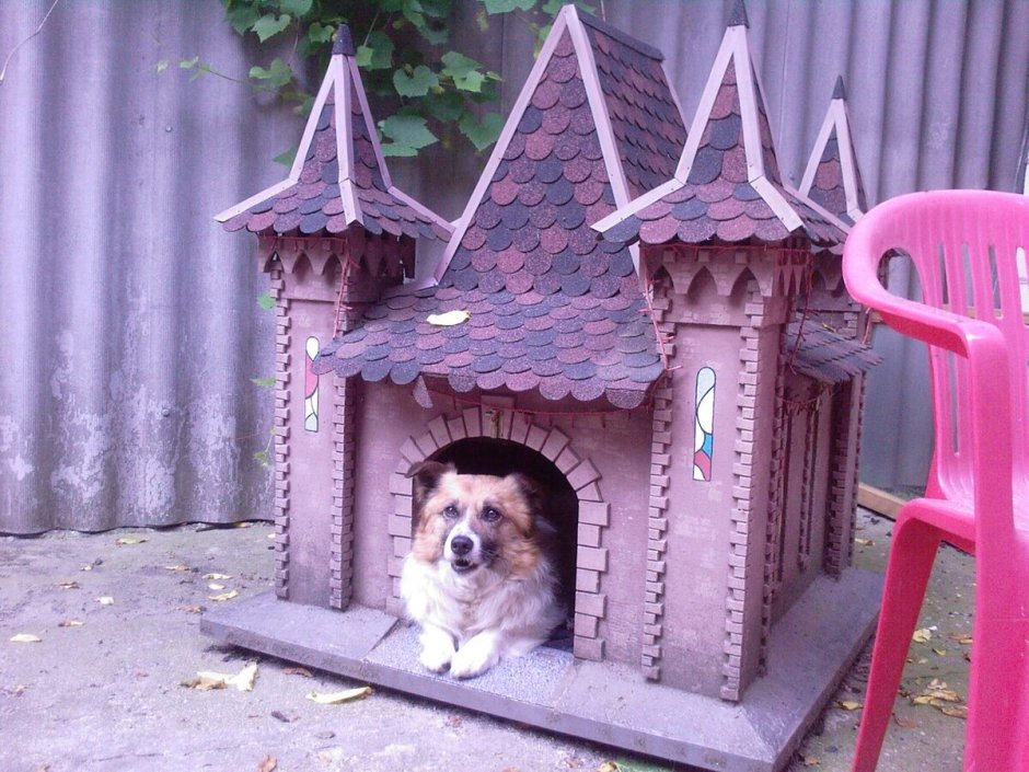 Необычные домики для собак