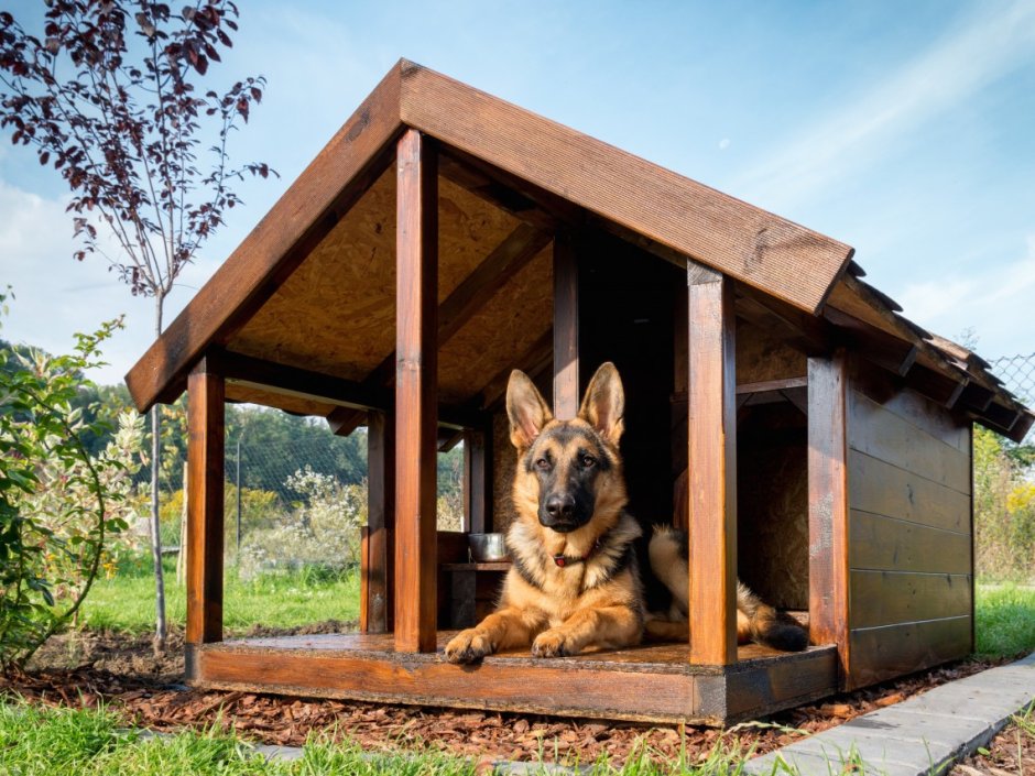 Дом для собаки на улице