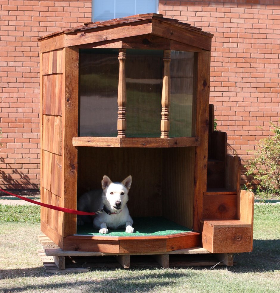 Двухэтажные домики для собак