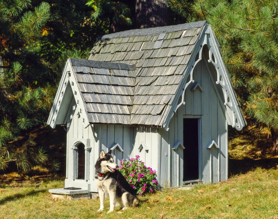 Зимний домик для собаки