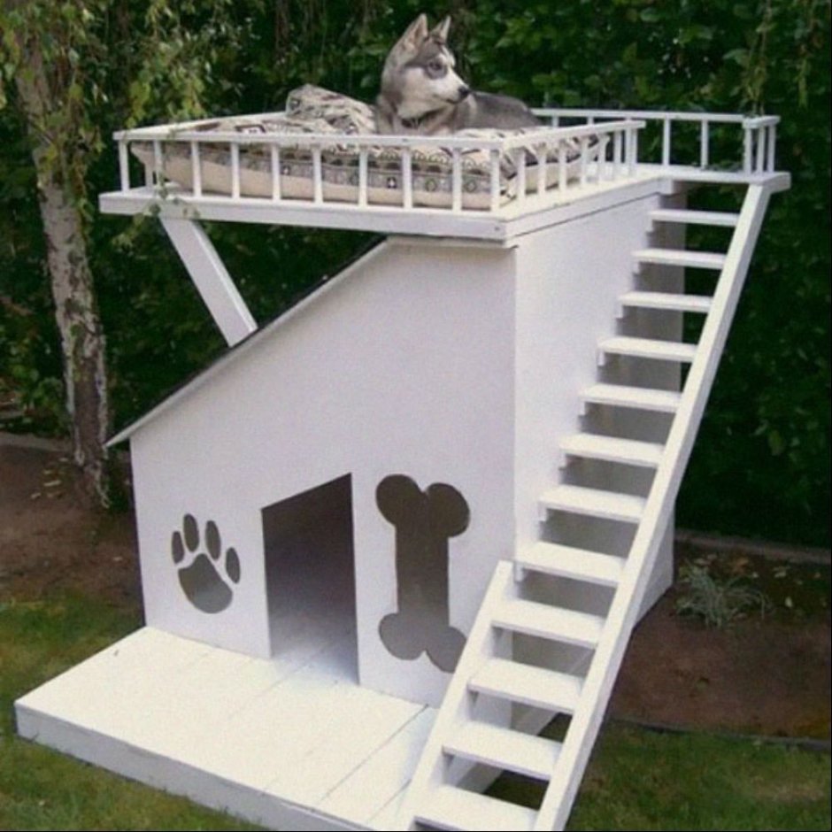 Двухэтажная конура особняк для собаки