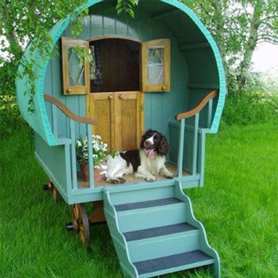 Уютные домики для собак