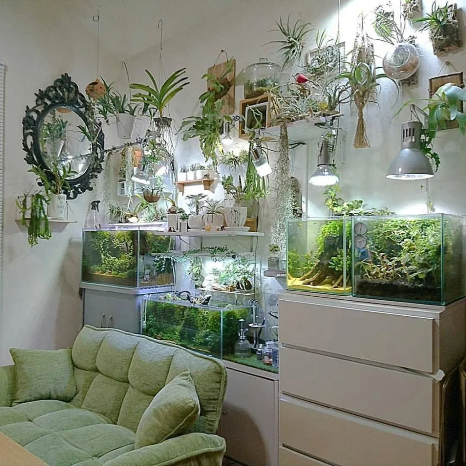 Уголок в комнаты с растениями