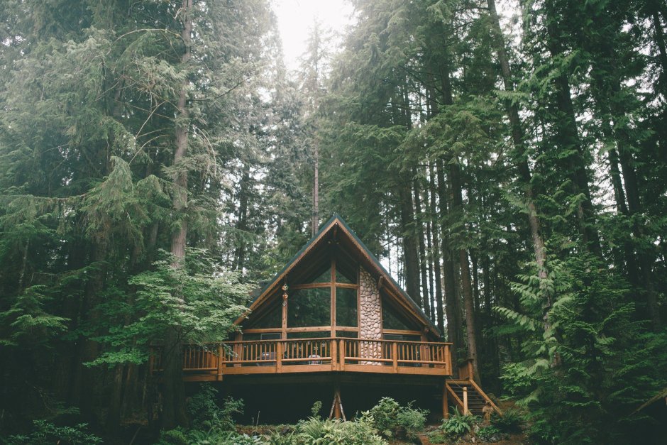 Деревянный дом в лесу