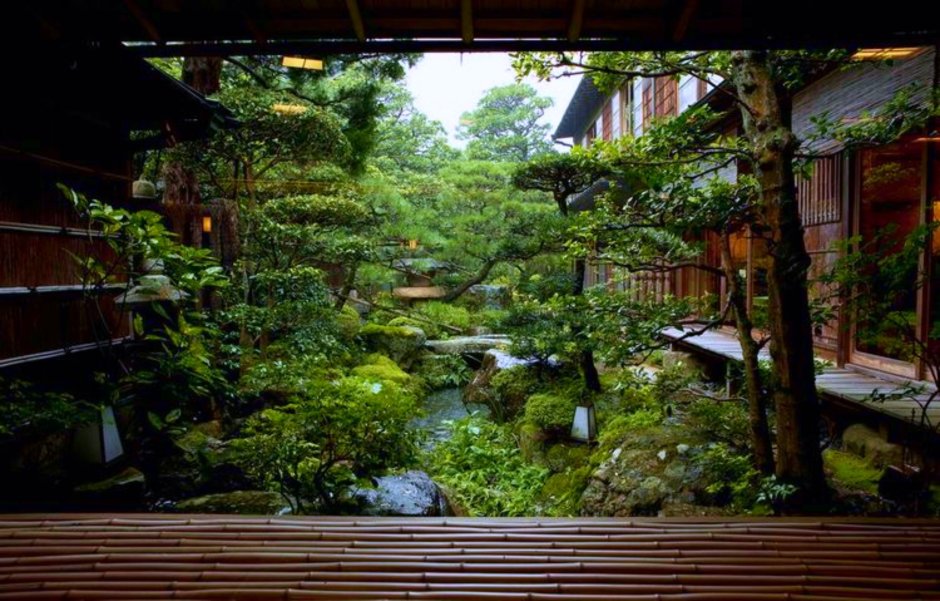 Японский сад папоротников