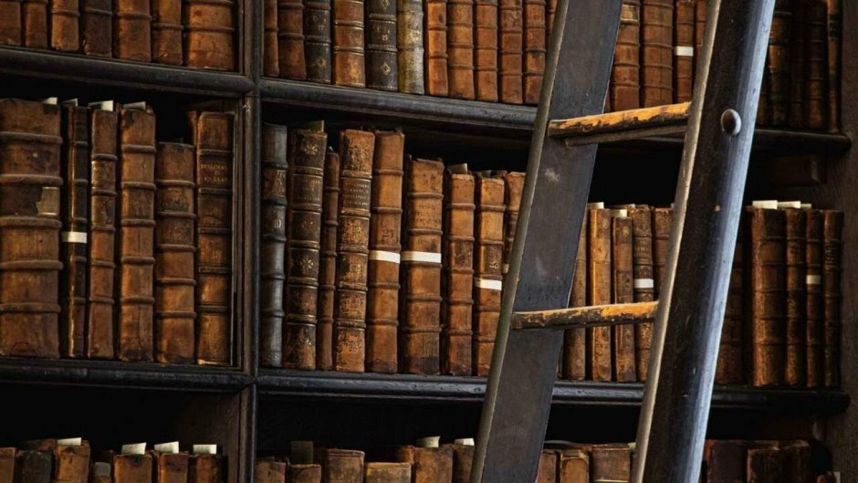 Обои с книжными полками