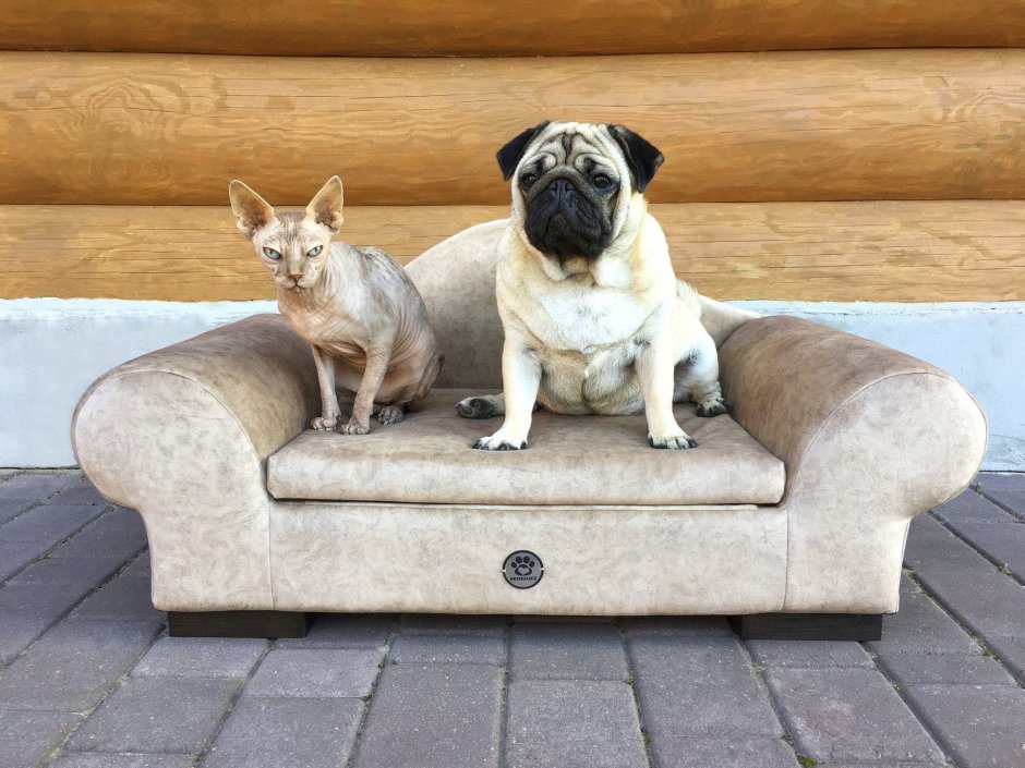 Лежанка для собак