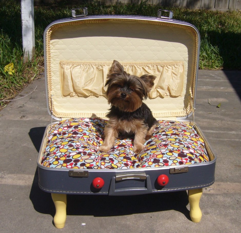 Лежак для собаки из чемодана