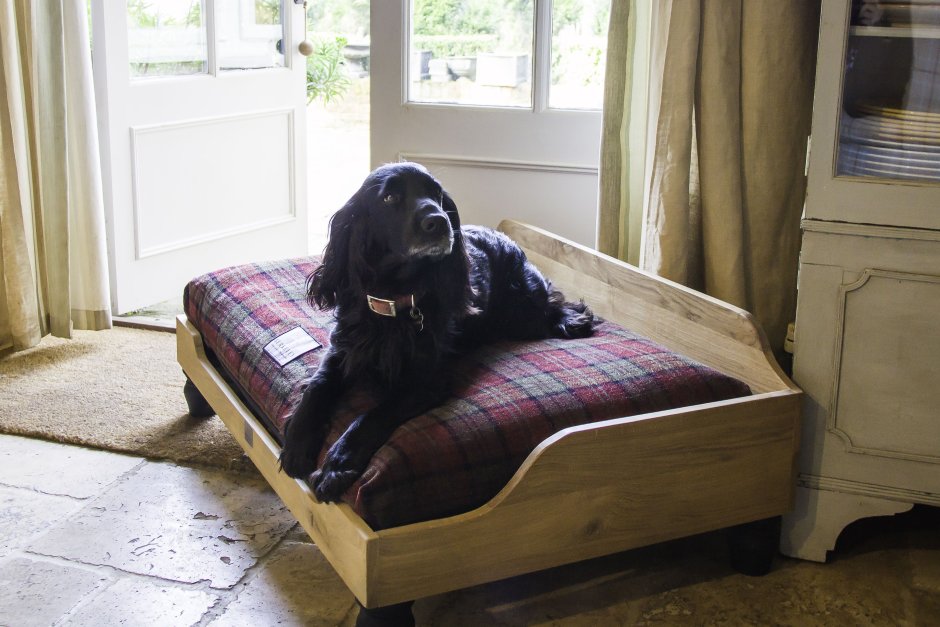 Кровать с собакой комната