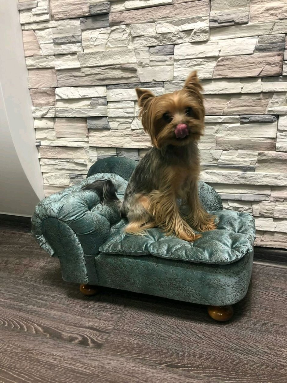 Диванчик для собачки