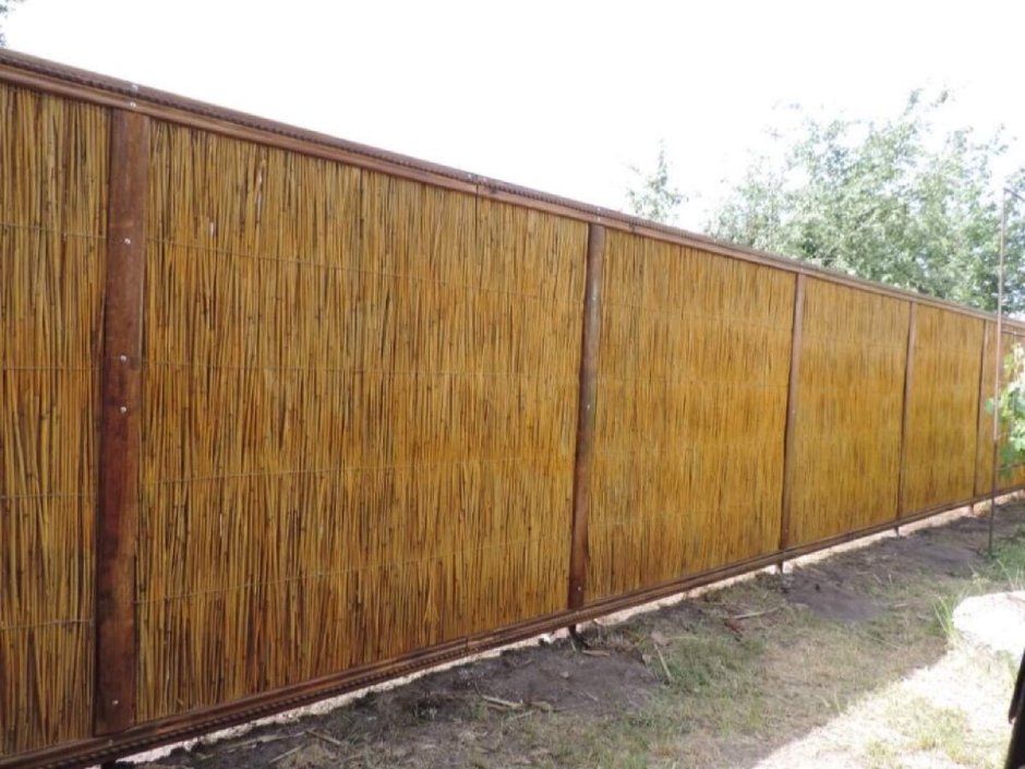 Камышовый забор