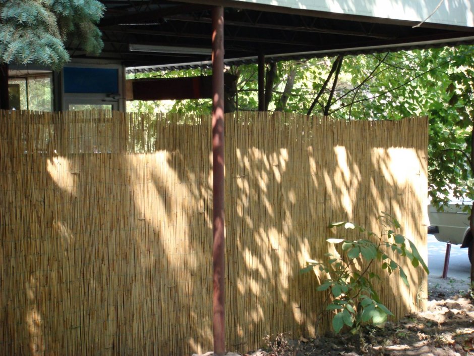 Забор из тростника "Garden show", 2 х 5 м