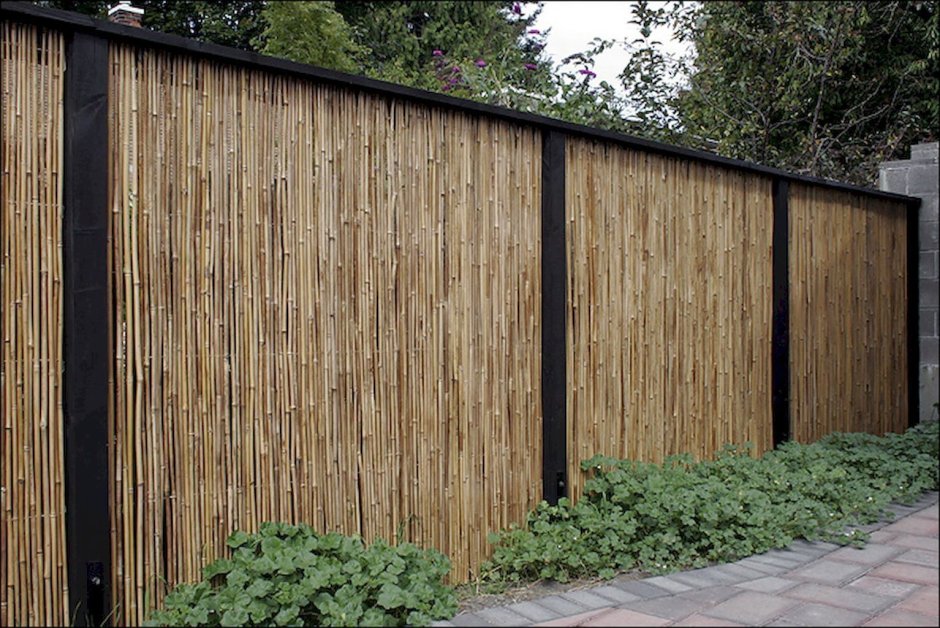 Забор из профлиста и бамбук