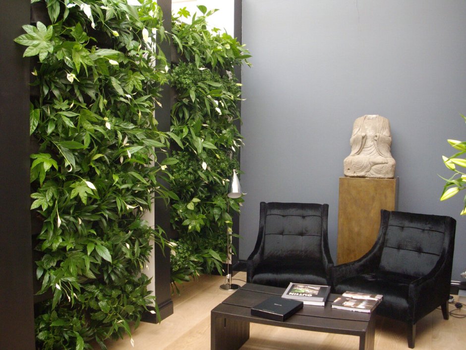 Зеленый уголок в офисе