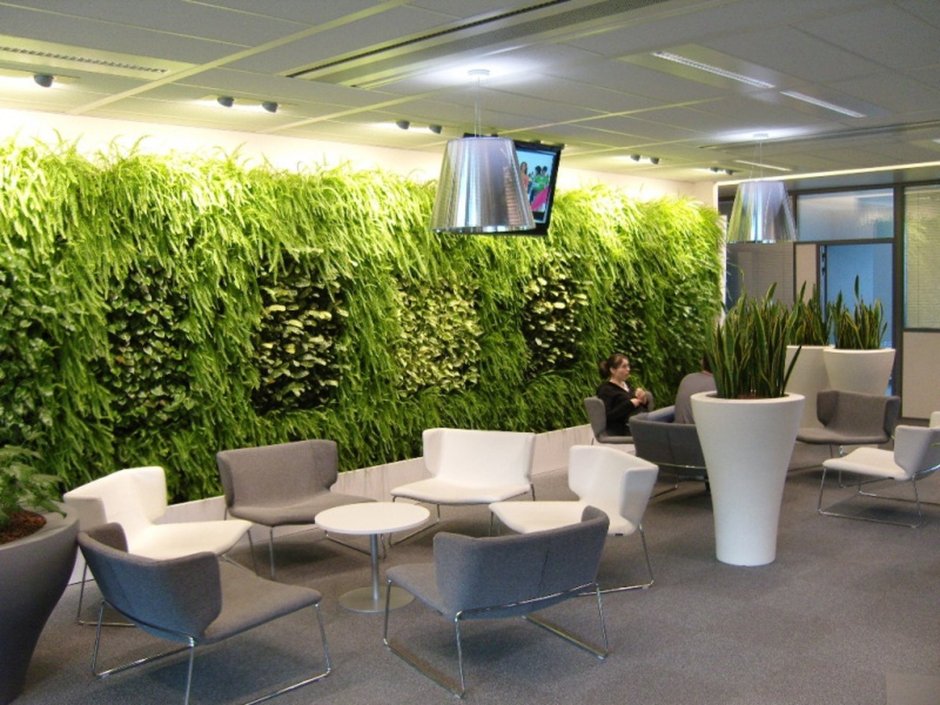Концепт озеленения офисного помещения