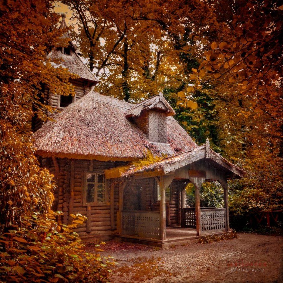 Домик в деревне осень
