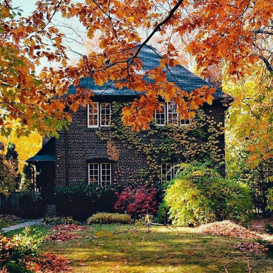 Красивый дом осенью