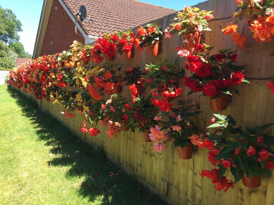 Забор с цветочными горшками