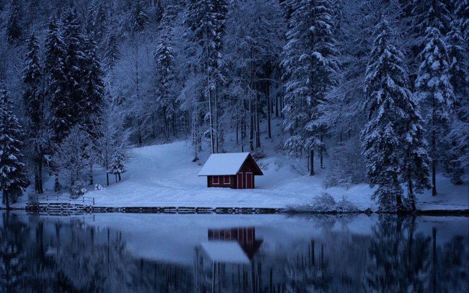 Одинокий домик в зимнем лесу