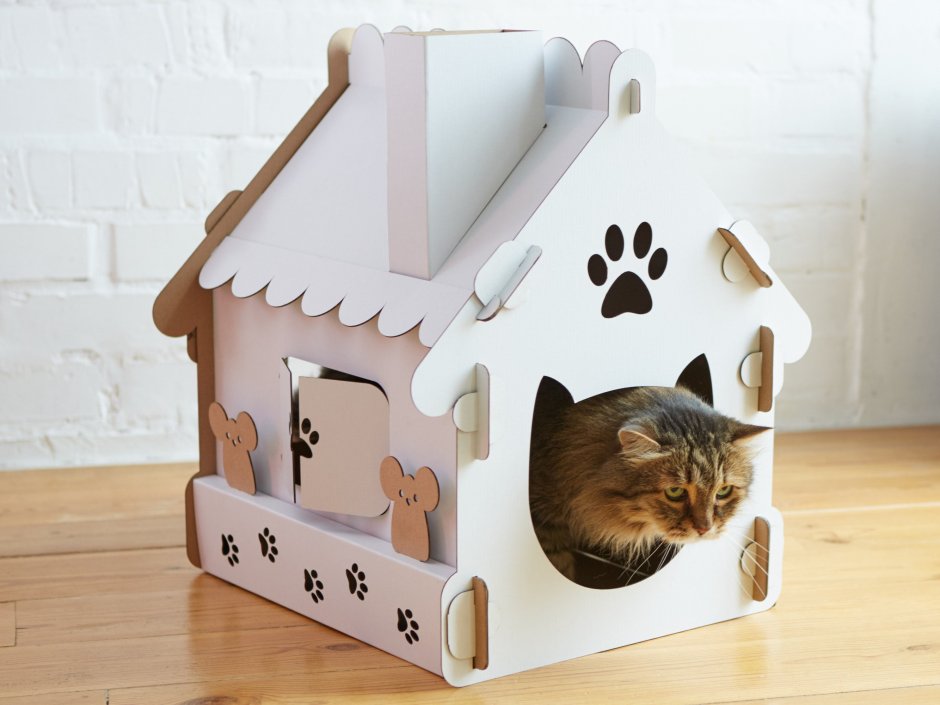 Макет домика для кошки из картона