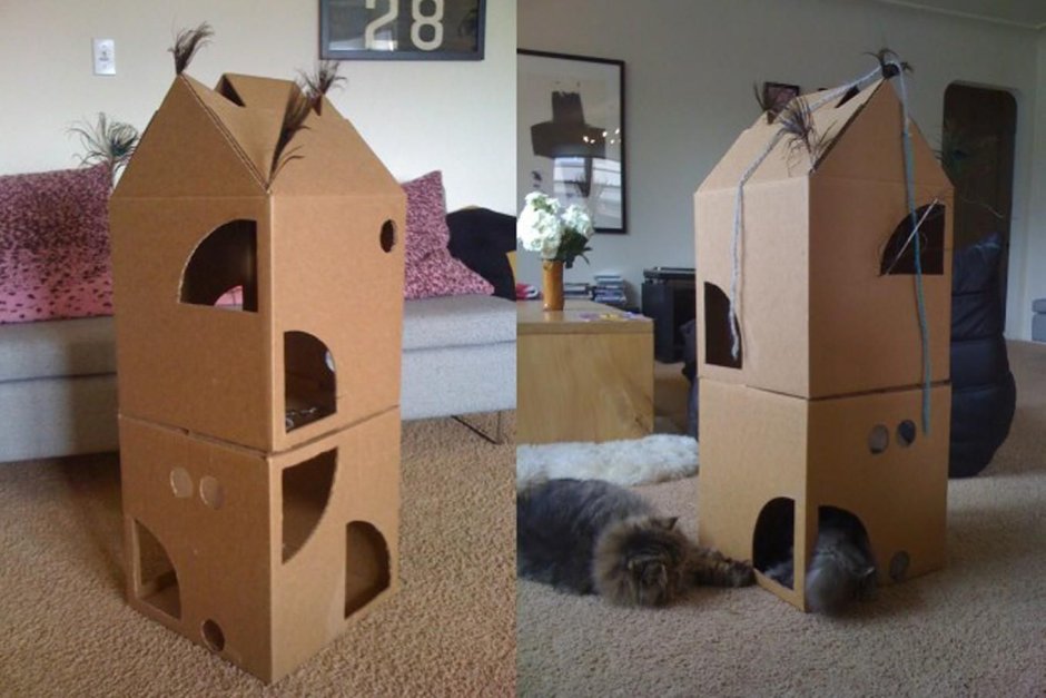 Домики для котов из картонных коробок
