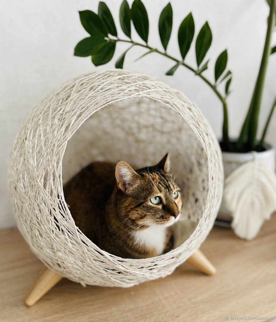 Гнездо для кота ярмарка Мастеров