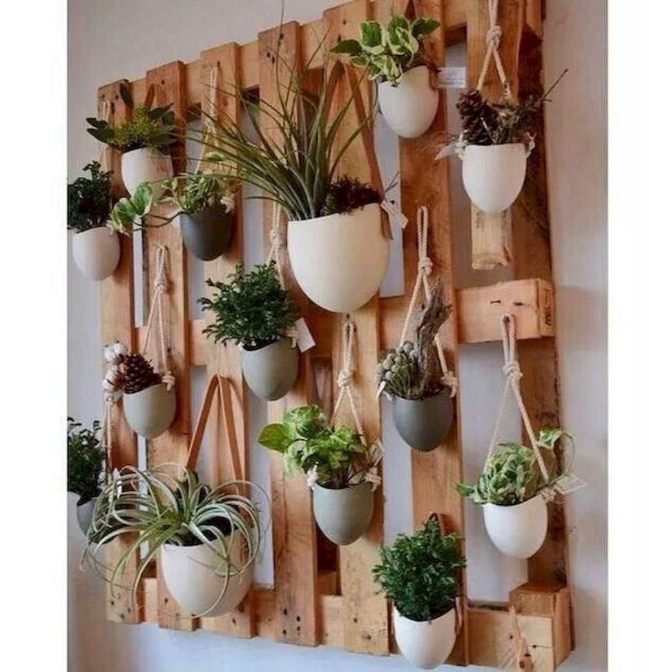 DIY для комнатных растений