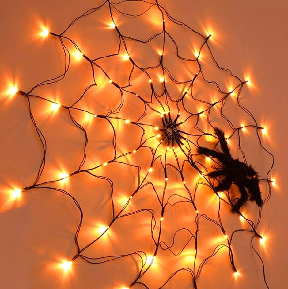 Огненный чилийский паук