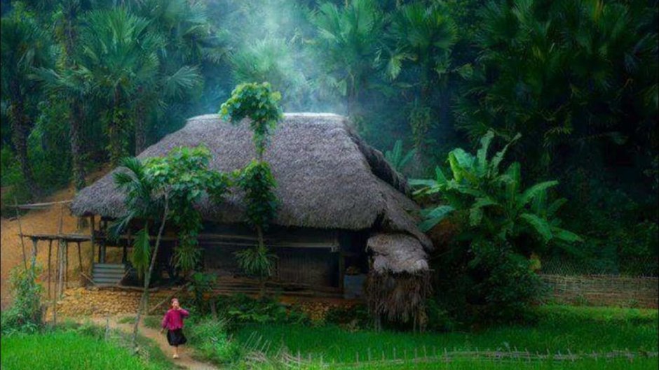 Одинокий дом в джунглях